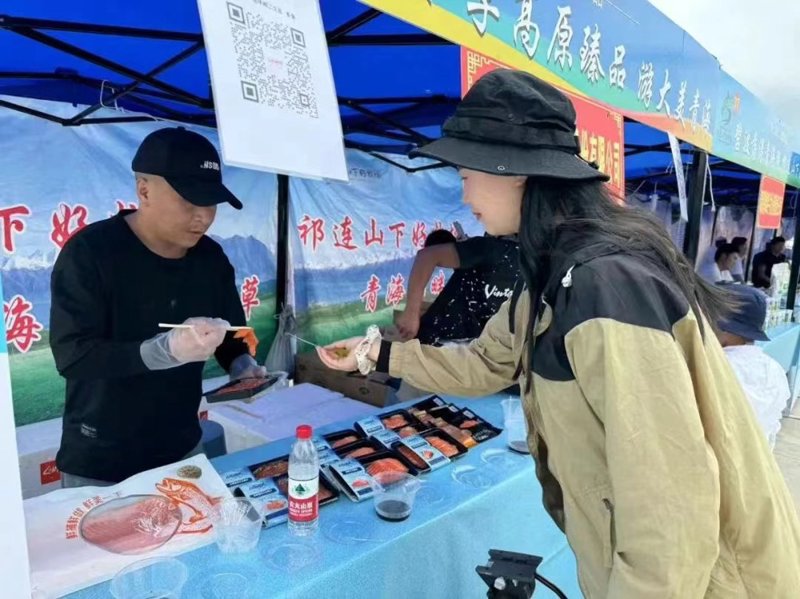 青海文旅项目招商